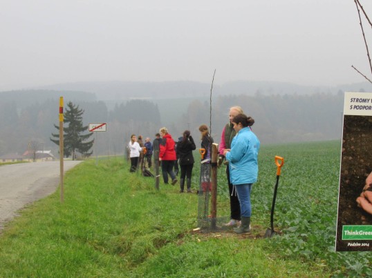 GLS volunteers planting trees to reduce C02