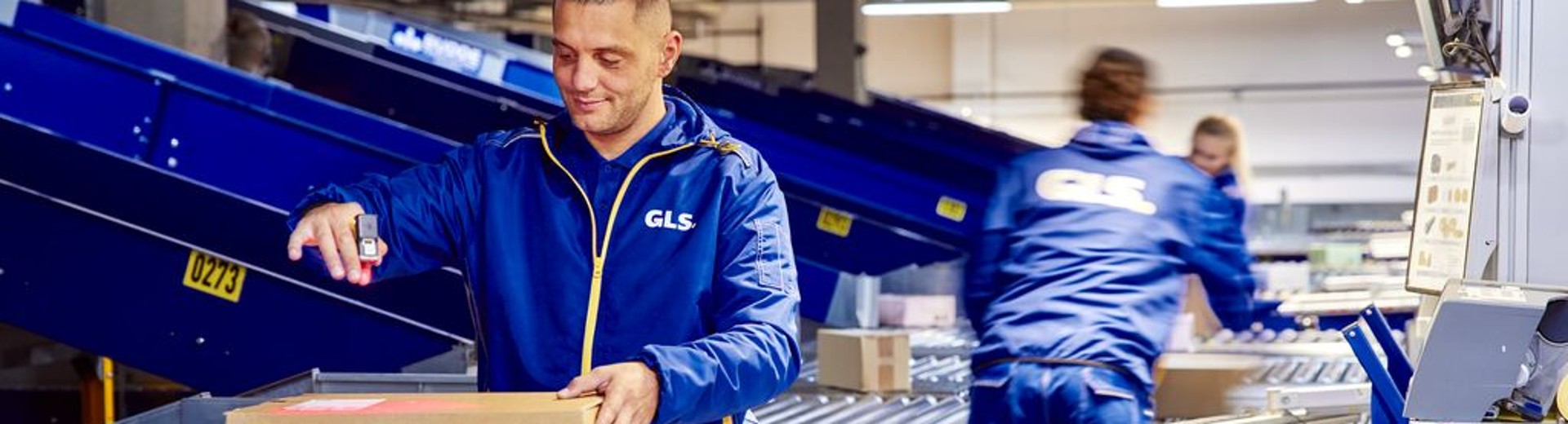 Employees sort and scan parcels on a conveyor belt